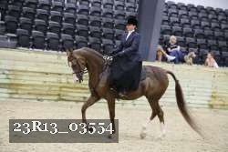 23R13_03554 thumbnail