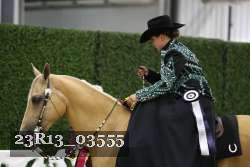 23R13_03555 thumbnail