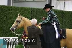 23R13_03557 thumbnail