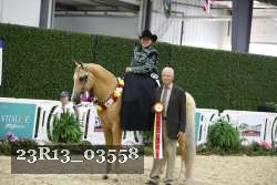 23R13_03558 thumbnail