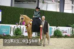 23R13_03560 thumbnail