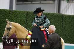 23R13_03561 thumbnail