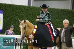 23R13_03564 thumbnail
