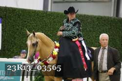 23R13_03565 thumbnail