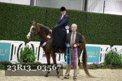 23R13_03567 thumbnail
