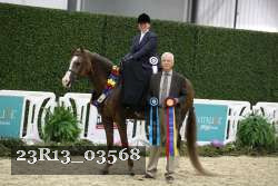 23R13_03568 thumbnail