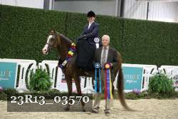 23R13_03570 thumbnail