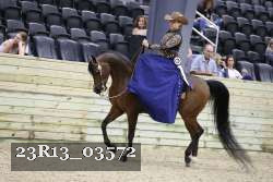 23R13_03572 thumbnail