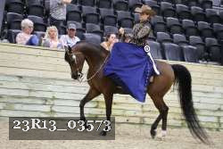 23R13_03573 thumbnail