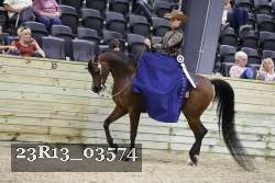 23R13_03574 thumbnail