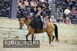 23R13_03581 thumbnail