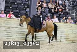 23R13_03582 thumbnail