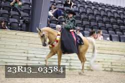 23R13_03584 thumbnail