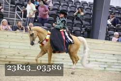 23R13_03586 thumbnail