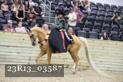 23R13_03587 thumbnail