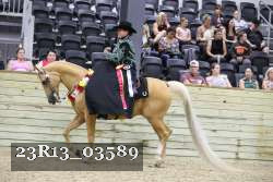23R13_03589 thumbnail