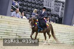 23R13_03590 thumbnail