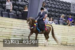 23R13_03591 thumbnail