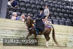 23R13_03592 thumbnail