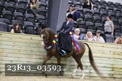 23R13_03593 thumbnail