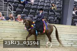 23R13_03594 thumbnail