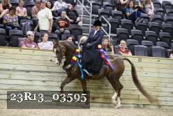 23R13_03595 thumbnail