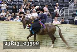 23R13_03598 thumbnail