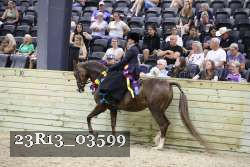 23R13_03599 thumbnail