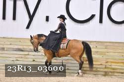 23R13_03600 thumbnail