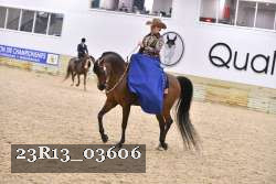 23R13_03606 thumbnail
