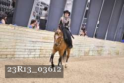 23R13_03612 thumbnail
