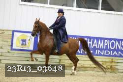 23R13_03648 thumbnail