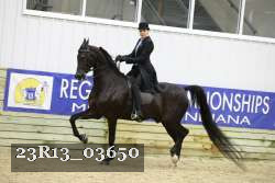 23R13_03650 thumbnail