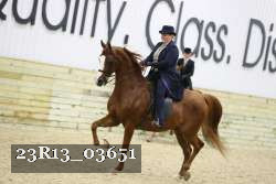 23R13_03651 thumbnail