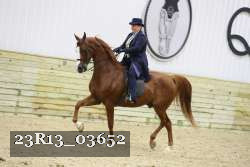 23R13_03652 thumbnail