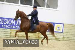23R13_03653 thumbnail