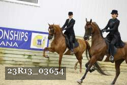 23R13_03654 thumbnail