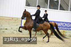 23R13_03656 thumbnail
