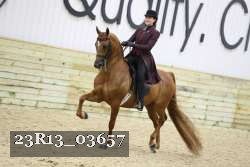 23R13_03657 thumbnail