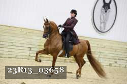 23R13_03658 thumbnail