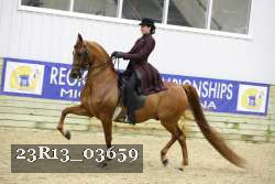 23R13_03659 thumbnail