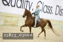 23R13_03660 thumbnail