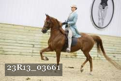 23R13_03661 thumbnail