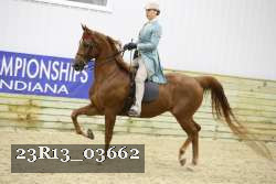 23R13_03662 thumbnail