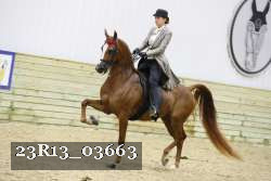 23R13_03663 thumbnail