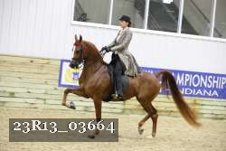 23R13_03664 thumbnail