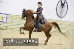 23R13_03665 thumbnail