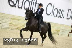 23R13_03666 thumbnail