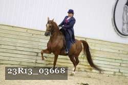 23R13_03668 thumbnail