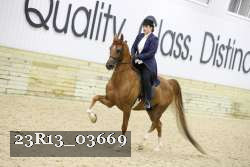 23R13_03669 thumbnail